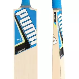 Puma EvoPower 3.5 Cricket Bat 2016