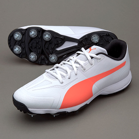 Puma EvoSpeed 360.1 Spike Cricket Shoes