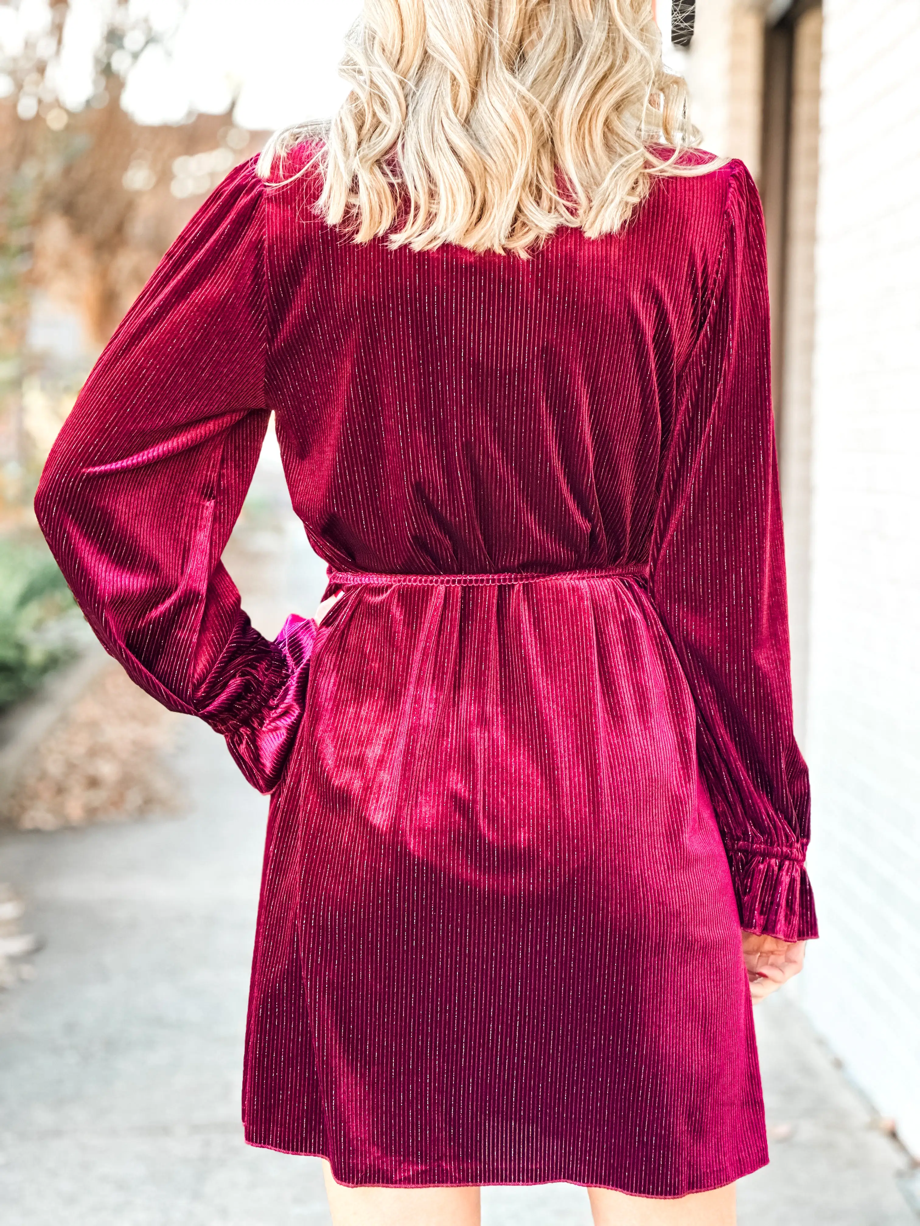 Tinsel Time Velvet Mini Dress